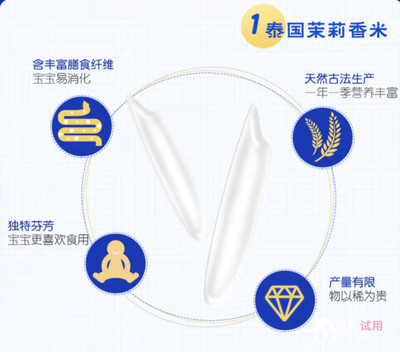 报告列表